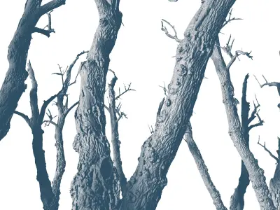 Old Forest 2 ULTRA HD 3D model