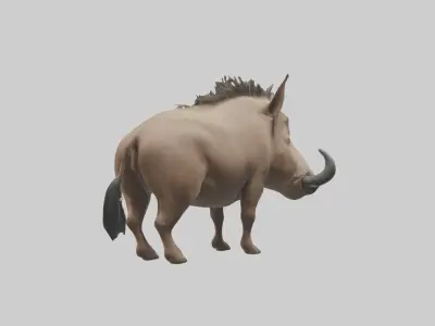 Standing Warthog Model Low-poly 3D model