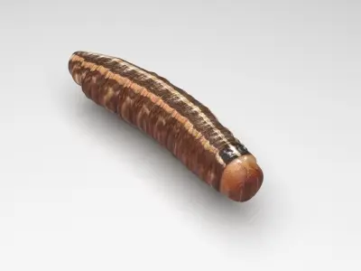 Cutworm 3D model