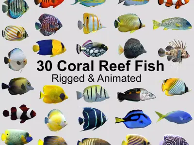 Coral Reef Fish Collection Animated - Game Ready pack 8 Low-poly 3D model