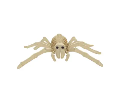 Realistic Spider Skeleton Cute Halloween Decoration 3D print model