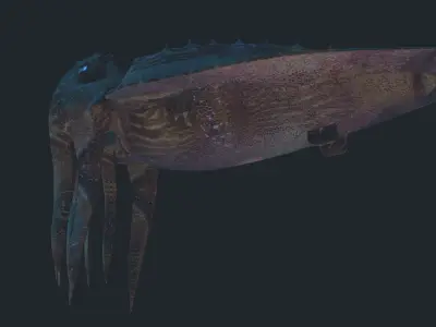 Cuttlefish jellyfish Low-poly 3D model