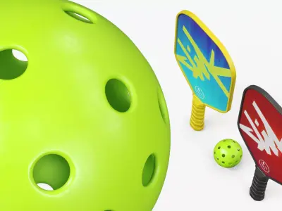 Pickleball Paddle Set with Ball and Rackets 3D model purchase