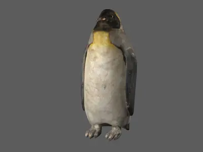 Penguin 3D model purchase