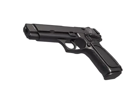 BDM  gun 3D print model