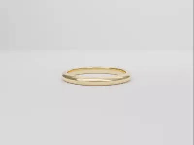 Plain Ring Model 3D Low-poly 3D model
