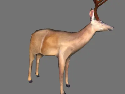 Brown Deer Low Poly Low-poly 3D model