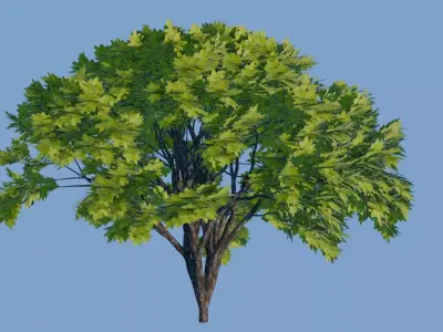 Trees Pack Pine Bush 3D model