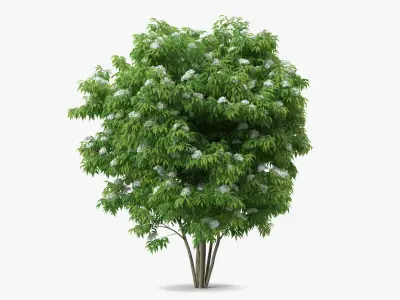  Bushes Collection 4 