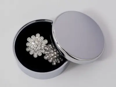 Chrome Jewelry Box Free 3D model