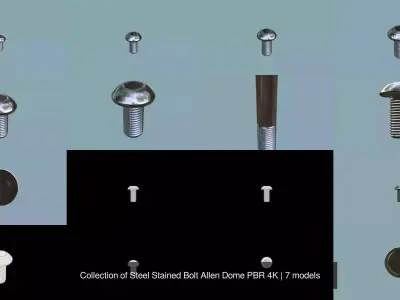 Collection of Steel Stained Bolt Allen Dome PBR 4K 3D Model Pack