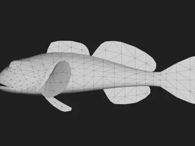 Sculpin Low-poly 3D model buy