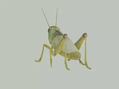Grasshopper 3D model 2