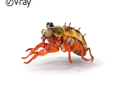 Detailed Insect Model Pack Low-poly 3D model