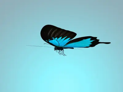 Butterflly butterfly flying in sky 3D model