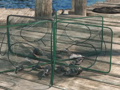 Automatic Pop-Up Fishing Trap and Captured Fish 3D model