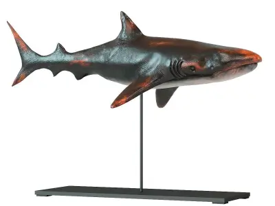 Deco Figurine Shark Base Low-poly 3D model