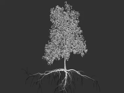  Trees Mega Collection 