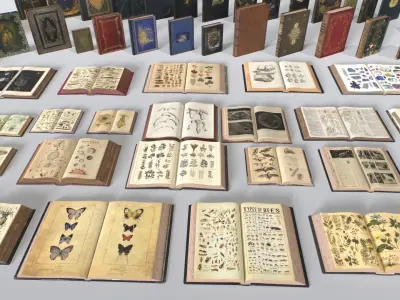 RPG Books Low-poly 3D model