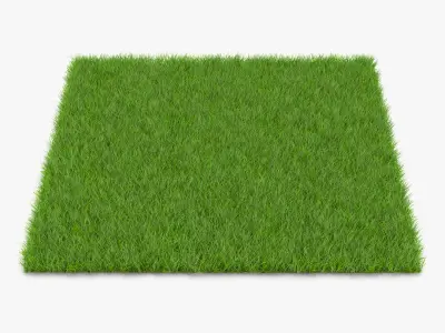  Grass Fields Collection 