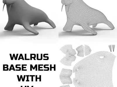 Walrus Base Mesh Low-poly 3D model