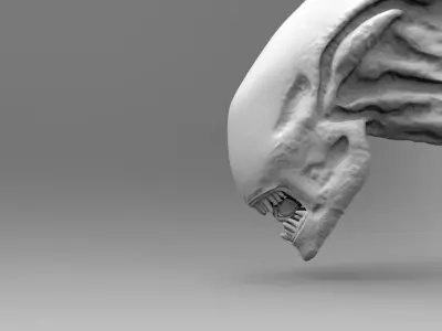 Alien Xenomorph Head Inner Mouth Inside Accessory   3D print model purchase