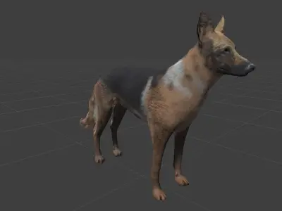 ALSATIAN DOG Low-poly 3D model