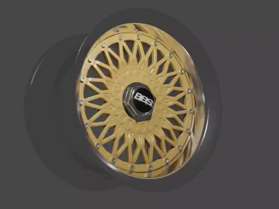 BBS disc 3D model