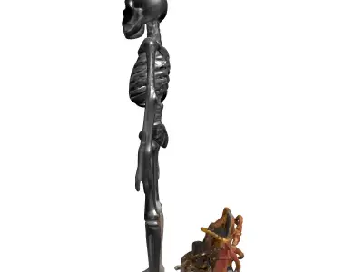 Steampunk Skeleton with Antique Box Low-poly 3D model