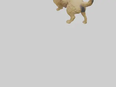 Border Terrier digging model 3D model