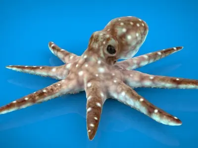OCTOPUS Low-poly 3D model