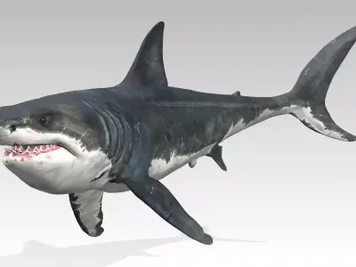 Megalodon Low-poly 3D model buy