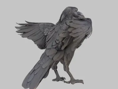 3D Raven Model Low-poly 3D model