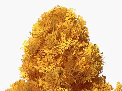  Lowpoly Decorative Maple Landscape Tree Yellow 