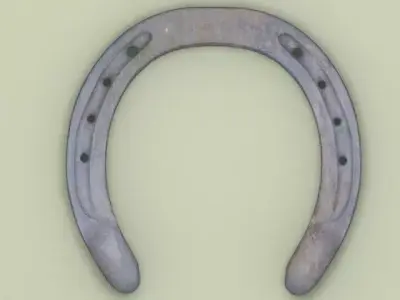 Horseshoe 3D model