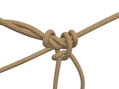 Rope Knot 3D model