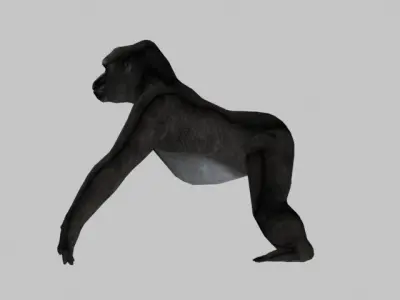 GORILLA LOW LOPY 3D model