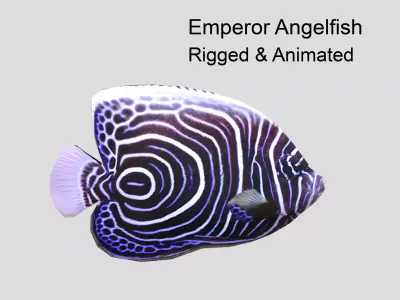 Emperor Angelfish Realistic Animated Low-poly 3D model purchase