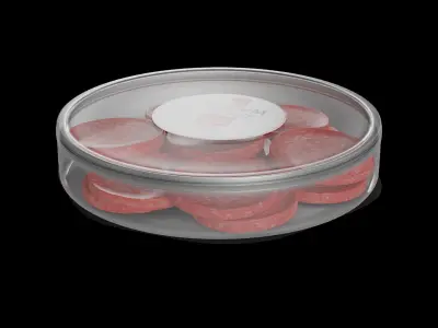 Dried meats Beef Salami 3D model