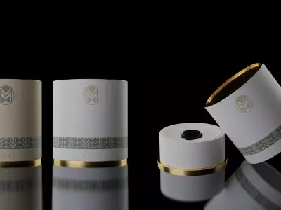 Premium Watch Box 3D model