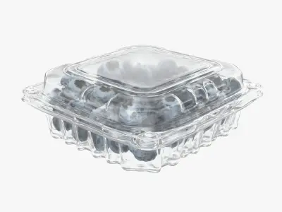 Blueberry Package 3D model