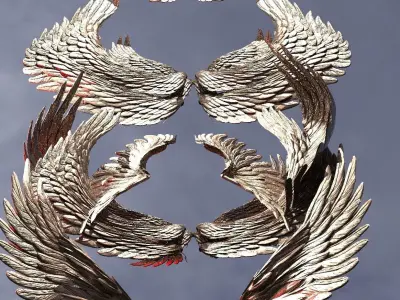 Angel Dragon wings Collection Low-poly 3D model