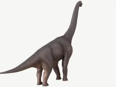 Brachiosaurus dinosaur Low-poly 3D model 3
