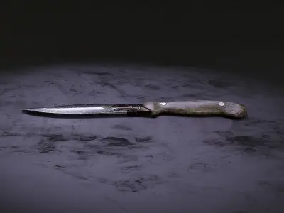 Hunting Knife Free low-poly 3D model buy
