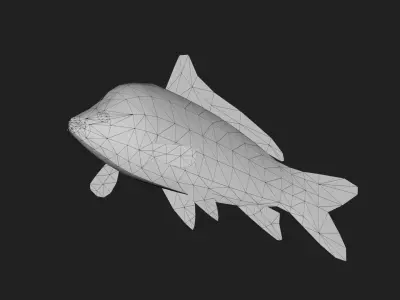 Carp fish Low-poly 3D model get
