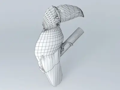 Toucan (Ramphastos toco Free 3D model purchase