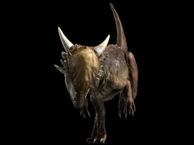  PachyecphaloSaurus 3D (Rigged) 