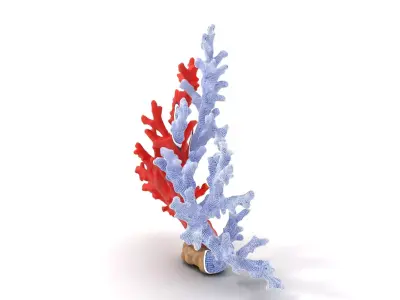 Vibrant Coral Reef model pack Low-poly 3D model