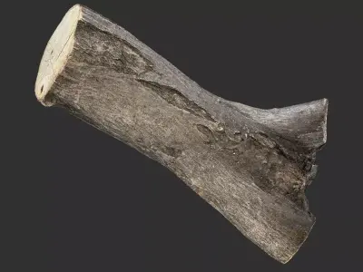 Piece of sawn tree wood 3d scan in highpoly 3D model