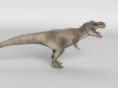 Tyrannosaurus Rex 3D model 8
